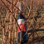 Bodegas Conrad 19