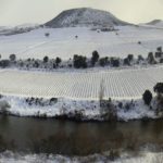 Bodegas Contino 1