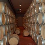 Bodegas Contino 7