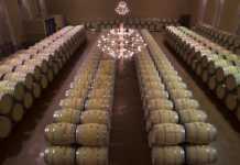 Bodegas Emilio Moro presenta su primer vino ecológico Emilio Moro D.O. Ribera Duero