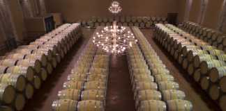 Emilio Moro D.O. Ribera Duero