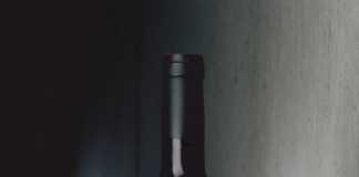 Baigorri maceración carbónica 2016