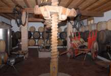 Bodega Antonio Muñoz Bodegas Antonio Muñoz