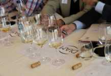 Borgoña, invitada de honor en las VIII Jornadas DIAM Borgoña en DIAM