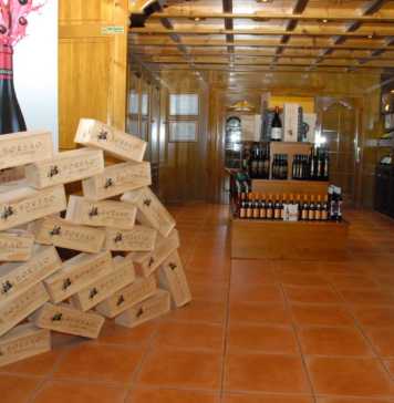 Bodega Borsao D.O. Campo de Borja Bodegas Borsao D.O. Campo de Borja