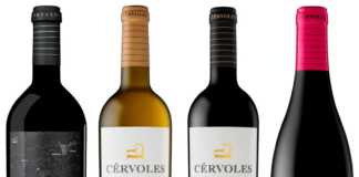 Bodega de Cérvoles Celler
