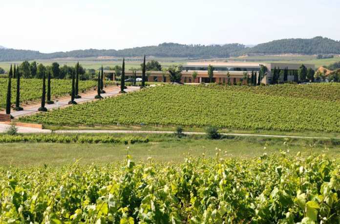 Cava y enoturismo
