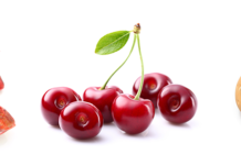 Últimas tendencias en productos frescos con FusiónFresh FusiónFresh en Alhaurín de la Torre