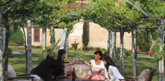 Día Movimiento Vinos DO