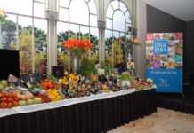 I Salón Internacional de los Grandes Vinos Blancos y Rosados en la Costa del Sol y Productos Gourmets I Salón Sol Wines en Málaga