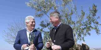 Abadía Retuerta y almazara aceite oliva virgen extra