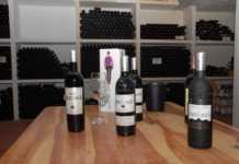 Bodegas Arzuaga. D.O. Ribera Duero Bodega Arzuaga DO Ribera Duero