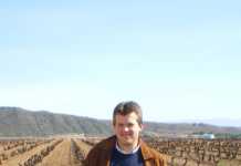 La situación del vino desde el punto de vista de Lauren Rosillo Lauren Rosillo