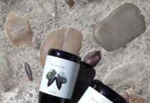 Javier Sanz Viticultor presenta la nueva añada de V Malcorta 2016 añada 2016 de V Malcorta