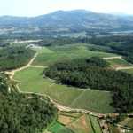 Bodegas Santiago Ruiz. D.O. Rías Baixas