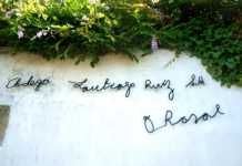 Bodegas Santiago Ruiz. D.O. Rías Baixas Bodegas Santiago Ruiz. D.O. Rías Baixas