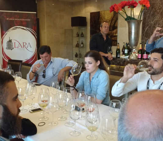 Más de 400 referencias de vinos blancos, rosados y peculiares de 107 bodegas de todo el mundo participan en Málaga en SolWines II Salón SolWines 2017