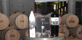 Bodegas Dominio de Cair