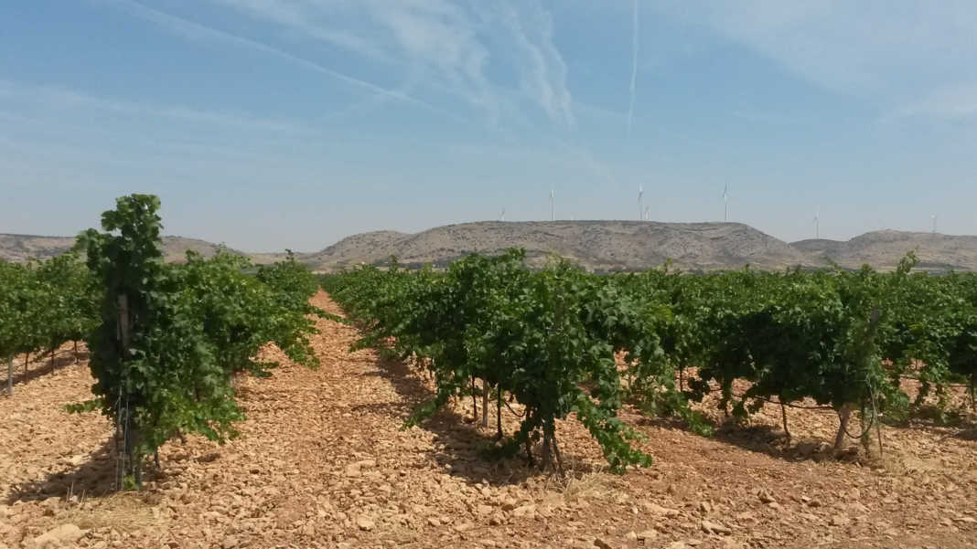 Bodegas Anhelo