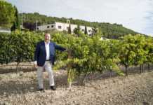 Bodegas Matarromera S.L. factura 22,5 millones de euros en 2016 Bodegas Matarromera