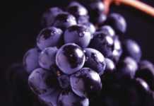 La D.O.Ca. Rioja aprueba la regulación para la identificación de vinos de ‘viñedos singulares’ y la elaboración de espumosos de máxima calidad DO Rioja viñedos singulares