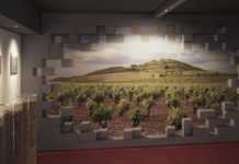 La D.O. Calificada Rioja presenta su memoria 2016 D.O. Calificada Rioja