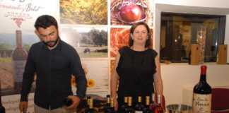 Ronda Vino a Vino