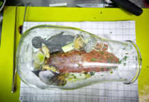 Sa Cuina del Mediterráneo, nuevo restaurante en Mahón Sa Cuina del Mediterráneo