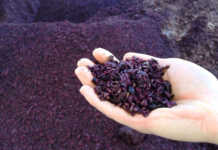 Matarromera investiga sobre los nuevos compuestos del vino Matarromera