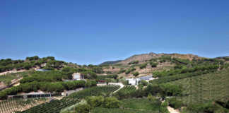 Alta Alella reconocido como cavas de paraje