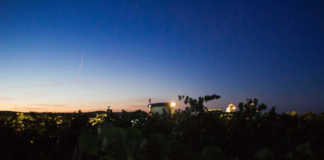 Bodega Príncipe de Viana vendimia nocturna