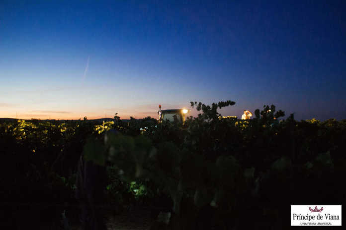 Bodega Príncipe de Viana vendimia nocturna