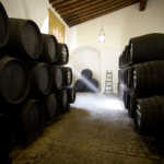 Bodegas Tradición