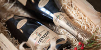 Freixenet y su cava Casa Sala