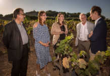 La Familia Torres presenta la variedad de uva ancestral Moneu recuperada Presentación Moneu