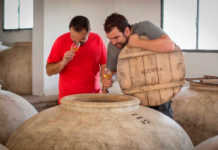 Alvear y Envínate revolucionan la sierra de Montilla con el proyecto ‘3 Miradas’ Alvear y Envínate