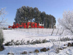 Bodega Dominio de la Vega