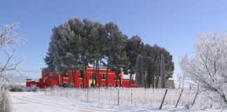 Bodega Dominio de la Vega