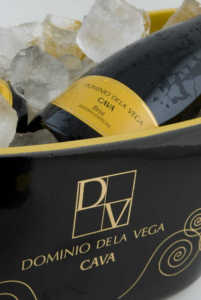 Bodega Dominio de la Vega