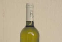 Cuaderno de Vinácora. Primera semana de Octubre Estero Blanco 2015