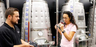microbodega Gonzalez Byass