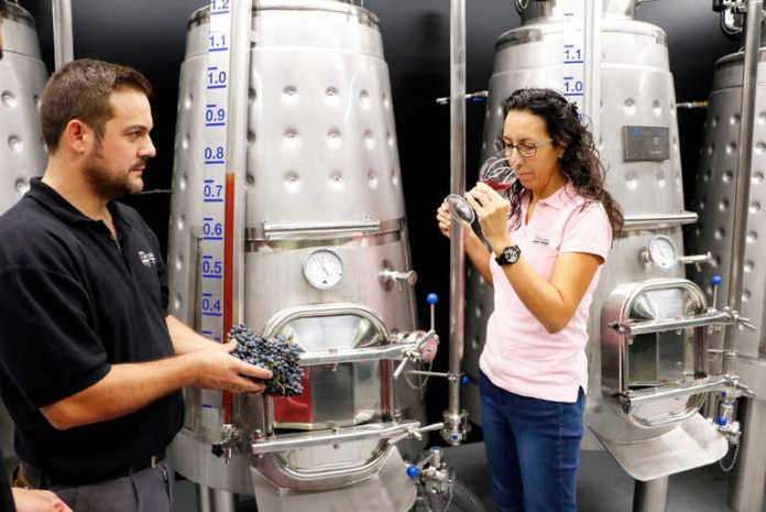 microbodega Gonzalez Byass