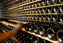 Juvé&Camps investiga sobre la producción de levaduras autóctonas JuvéCamps y las levaduras autóctonas