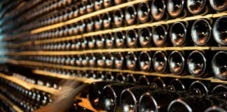 JuvéCamps y las levaduras autóctonas