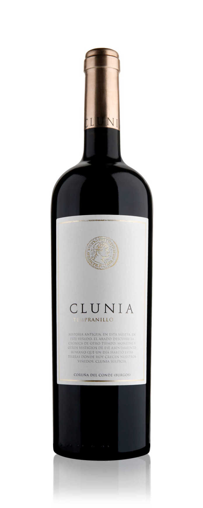 Príncipe de Viana y Clunia