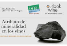 Cum Laude de la Universidad de Enología de Logroño para Laboratorios Excell-Ibérica y Outlook Wine Tesis Doctoral - La Mineralidad de los Vinos (1)