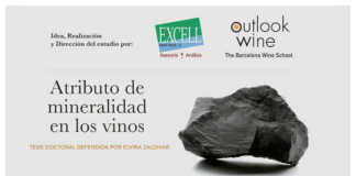 Tesis Doctoral - La Mineralidad de los Vinos (1)