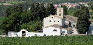 Albert y Noia Bodega