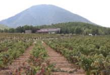 Bodegas Lavia, D.O. Bullas Bodegas Lavia D O Bullas