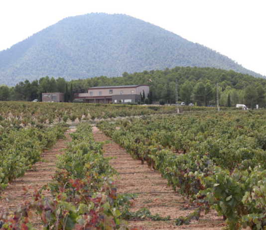 Bodegas Lavia, D.O. Bullas Bodegas Lavia D O Bullas